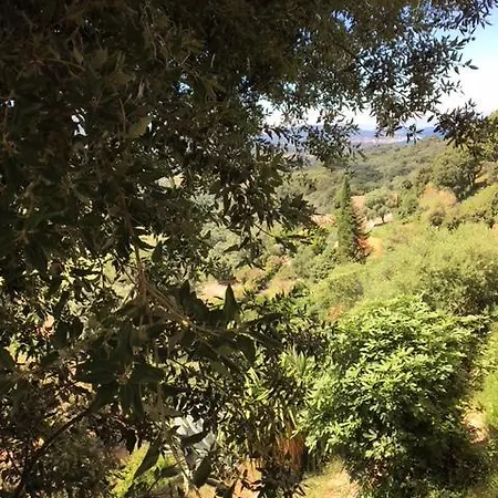 U Fracintu Ξενοδοχείο Fozzano